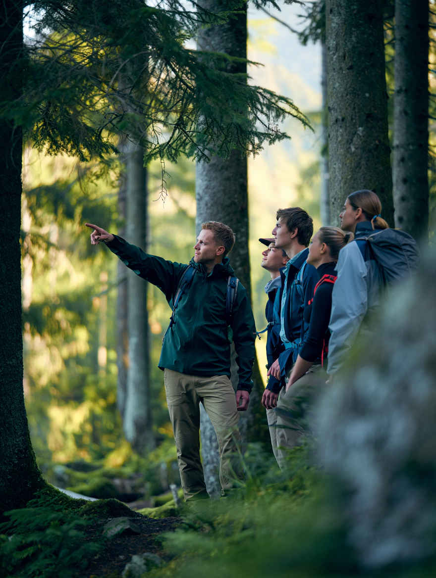 Fernweh Deutschland Team im Schwarzwald