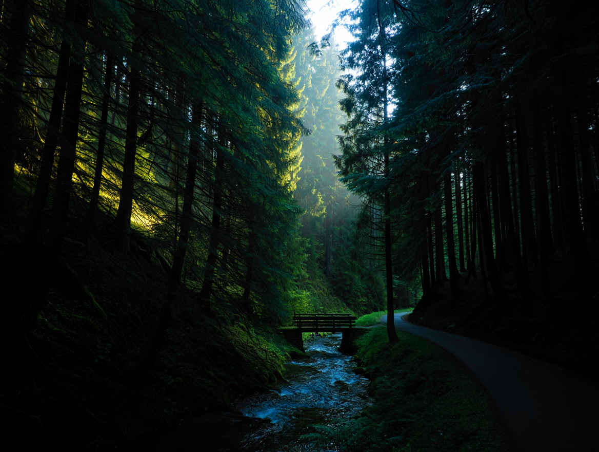 Schwarzwald – dunkle Wälder und malerische Täler